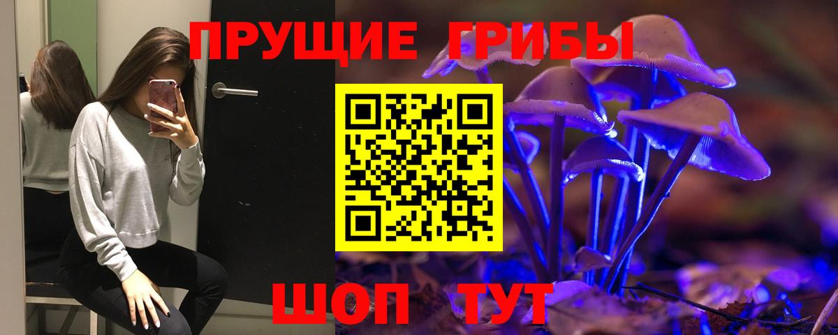 Кстово  Галлюциногенные грибы Psilocybe  Вход с VPN 